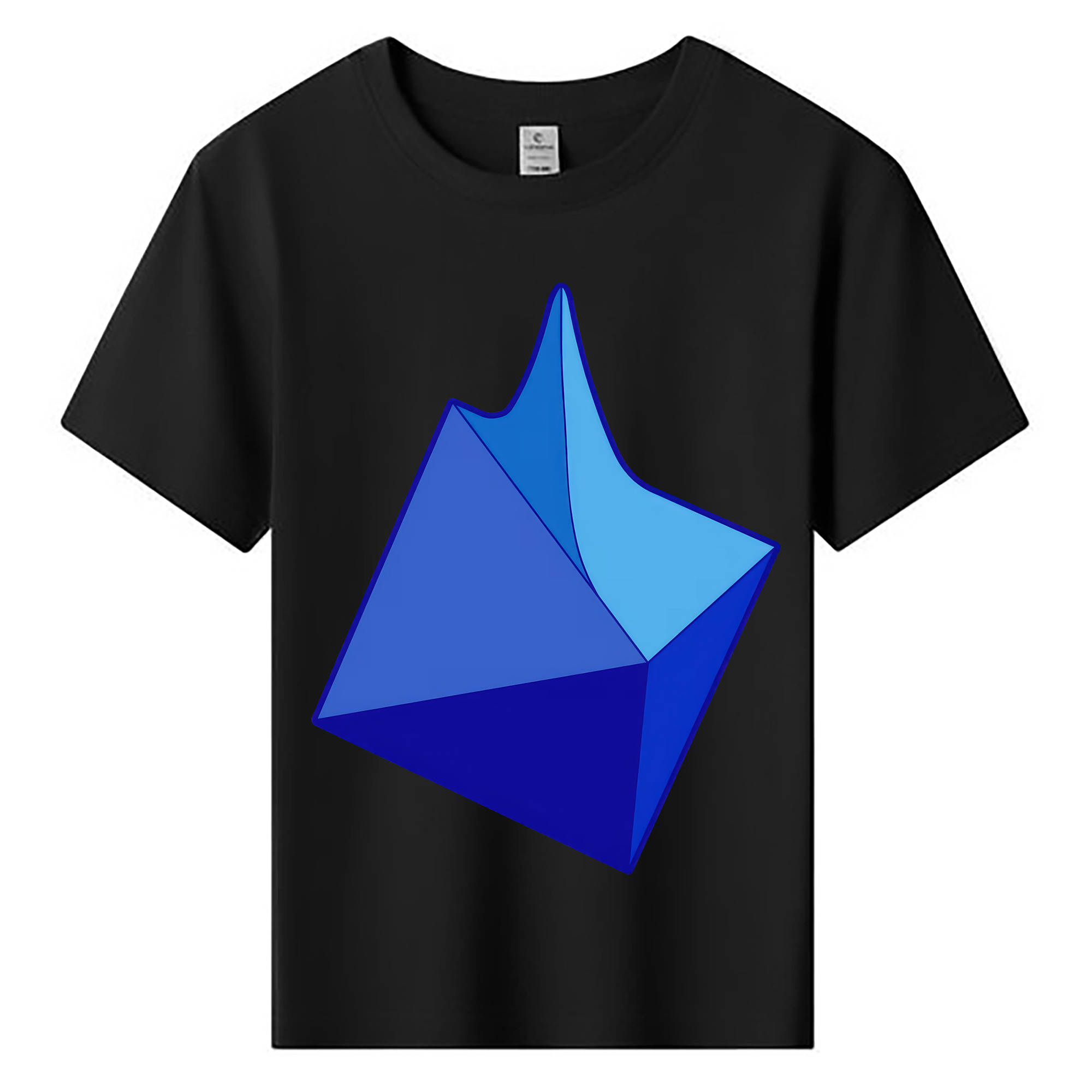 （画像用） EVA 新世紀エヴァンゲリオン 綿100％キッズTシャツ（フロントプリント）